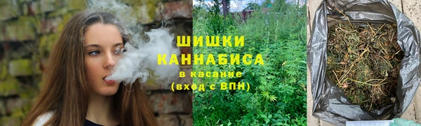 ПСИЛОЦИБИНОВЫЕ ГРИБЫ Заводоуковск