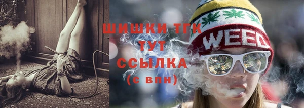 гидра Аркадак