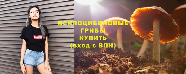 гидра Аркадак