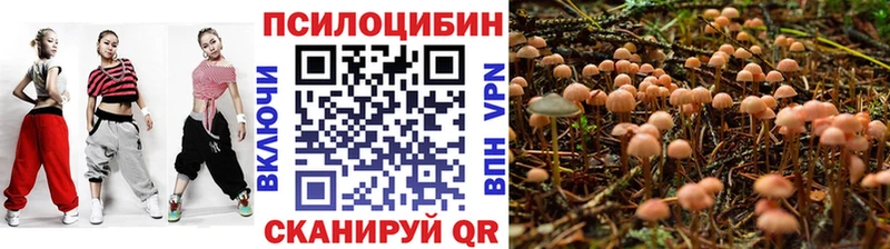 Псилоцибиновые грибы ЛСД KRAKEN ONION Суровикино